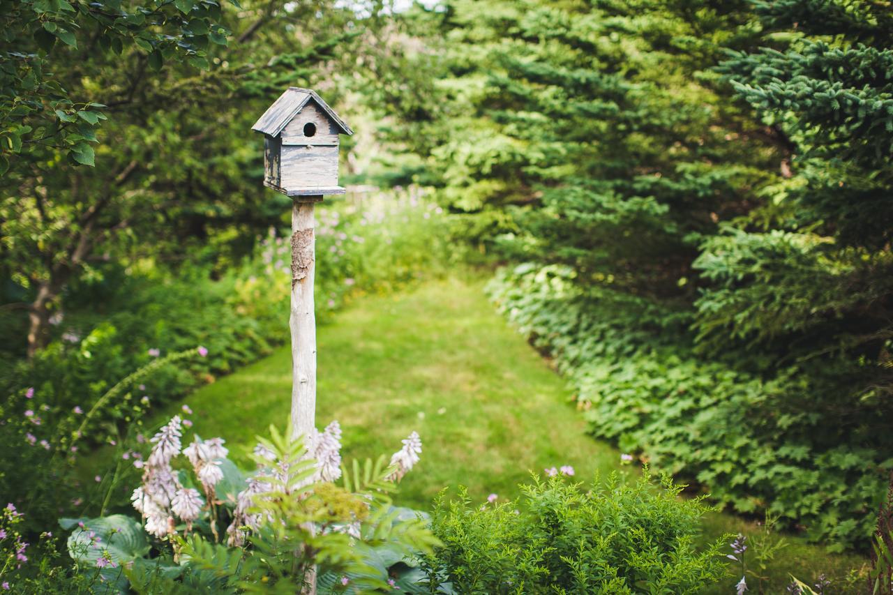 Abbie'S Garden Bed & Breakfast Grand Bank Esterno foto