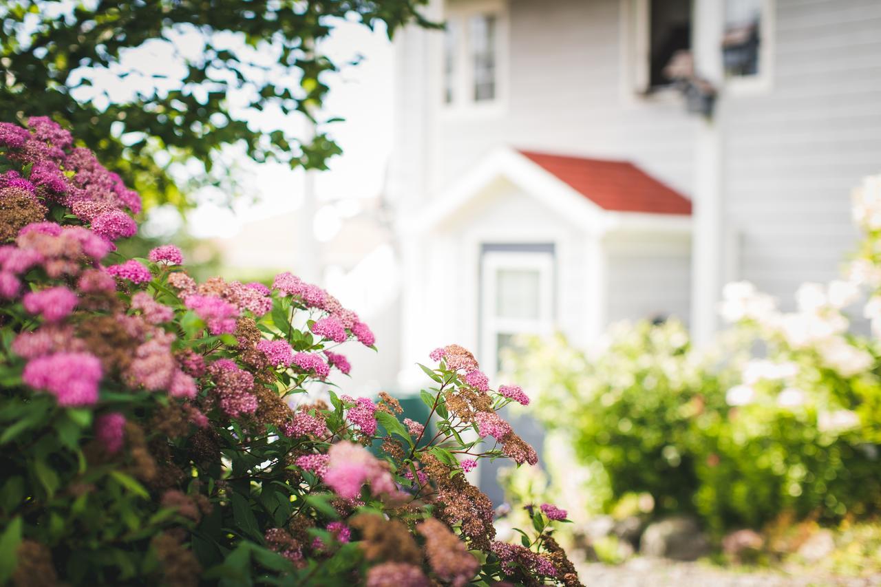 Abbie'S Garden Bed & Breakfast Grand Bank Esterno foto