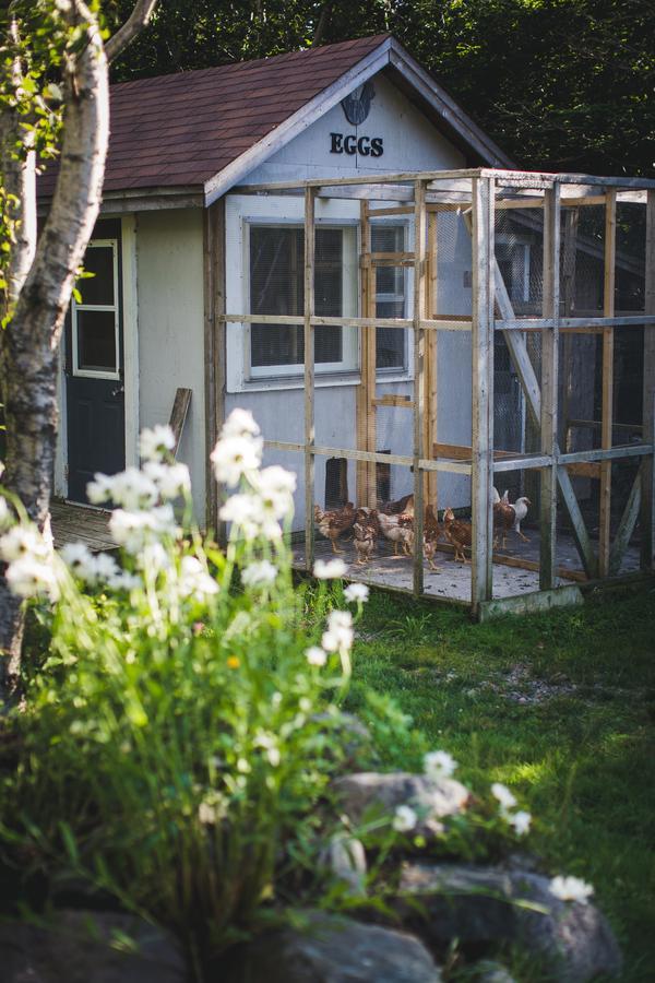 Abbie'S Garden Bed & Breakfast Grand Bank Esterno foto